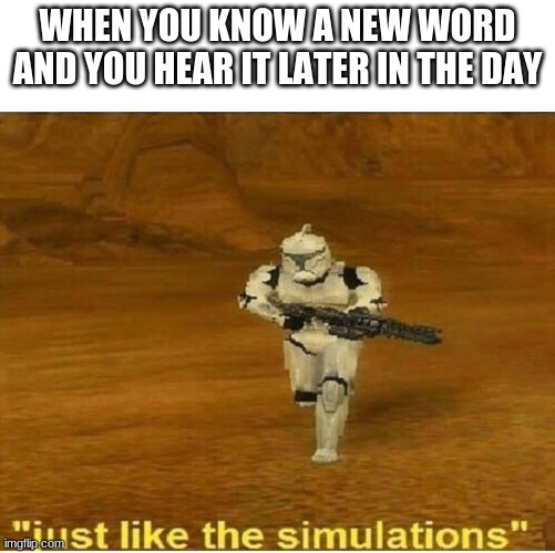 Just like the simulations | WHEN YOU KNOW A NEW WORD AND YOU HEAR IT LATER IN THE DAY | image tagged in just like the simulations | made w/ Imgflip meme maker