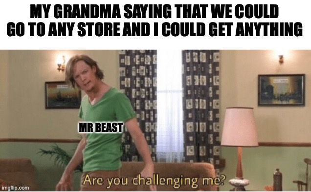 idk i was bored | MY GRANDMA SAYING THAT WE COULD GO TO ANY STORE AND I COULD GET ANYTHING; MR BEAST | image tagged in are you challenging me,mrbeast,grandma | made w/ Imgflip meme maker
