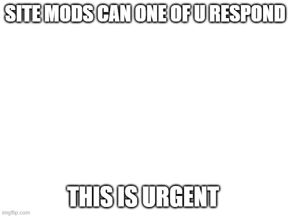 Blank White Template | SITE MODS CAN ONE OF U RESPOND; THIS IS URGENT | image tagged in blank white template | made w/ Imgflip meme maker