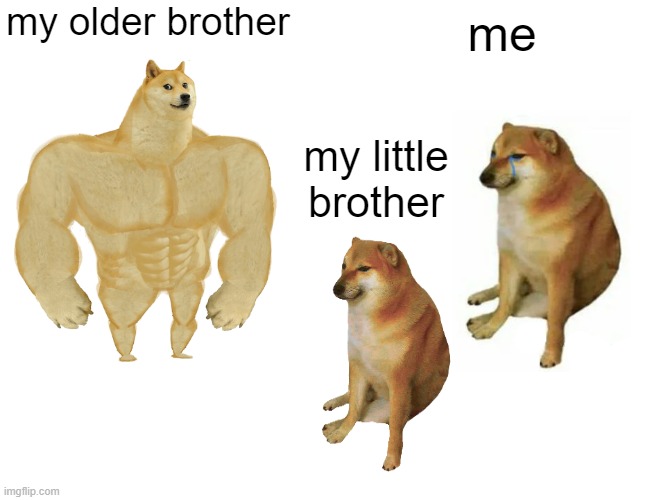 Im a wuss | my older brother; me; my little brother | image tagged in memes,buff doge vs cheems | made w/ Imgflip meme maker