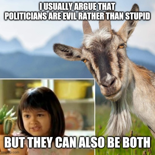 I USUALLY ARGUE THAT POLITICIANS ARE EVIL RATHER THAN STUPID BUT THEY CAN ALSO BE BOTH | made w/ Imgflip meme maker