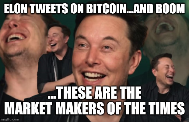 Elon Musk Laughing | ELON TWEETS ON BITCOIN...AND BOOM; ...THESE ARE THE MARKET MAKERS OF THE TIMES | image tagged in elon musk laughing | made w/ Imgflip meme maker