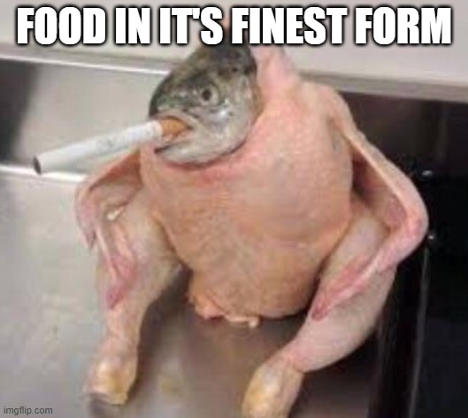 Food in it's Finest Form | FOOD IN IT'S FINEST FORM | image tagged in funny,memes,lol,food,hilarious | made w/ Imgflip meme maker