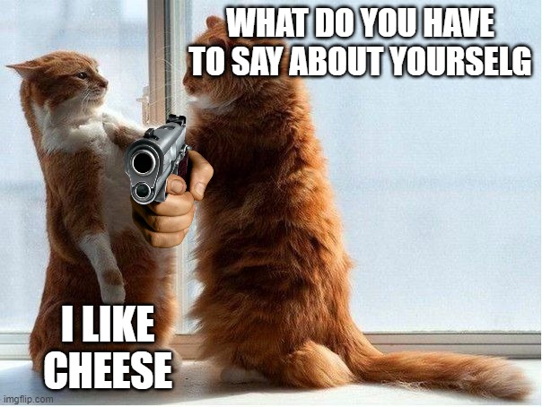 CONFRONTATION CAT | WHAT DO YOU HAVE TO SAY ABOUT YOURSELG; I LIKE CHEESE | image tagged in confrontation cat | made w/ Imgflip meme maker