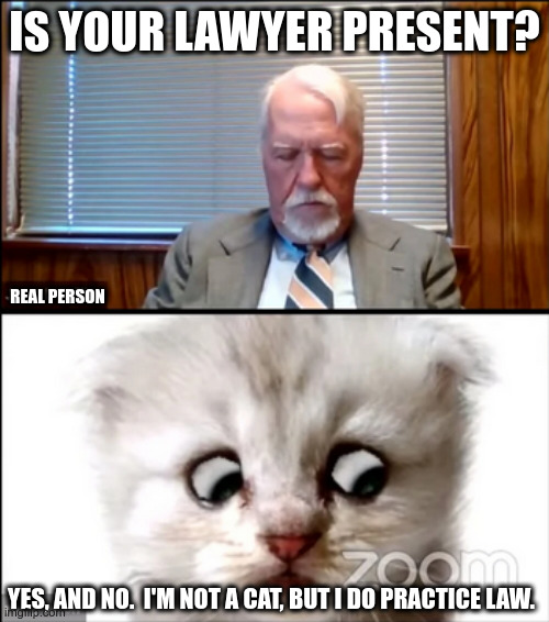Schrodinger's Lawyer |  IS YOUR LAWYER PRESENT? REAL PERSON; YES, AND NO.  I'M NOT A CAT, BUT I DO PRACTICE LAW. | image tagged in cat,lawyer,zoom,funny | made w/ Imgflip meme maker