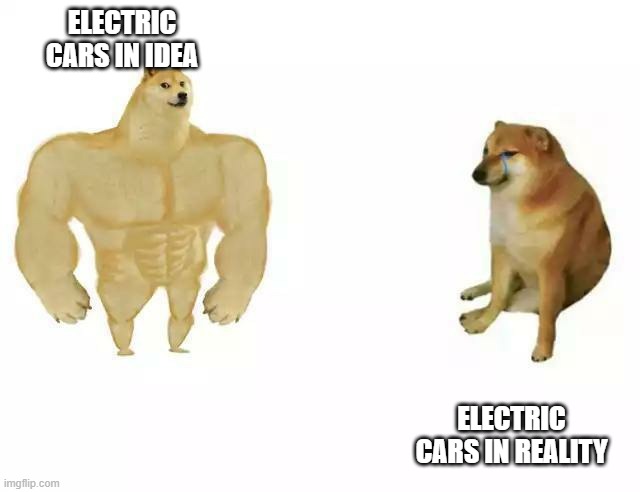 Strong vs weak doge | ELECTRIC CARS IN IDEA; ELECTRIC CARS IN REALITY | image tagged in strong vs weak doge | made w/ Imgflip meme maker