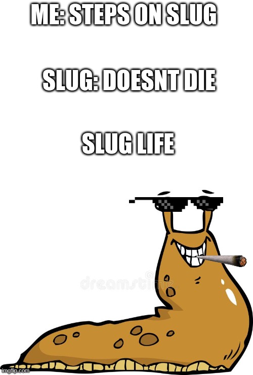 slug life |  ME: STEPS ON SLUG; SLUG: DOESNT DIE; SLUG LIFE | image tagged in blank white template | made w/ Imgflip meme maker