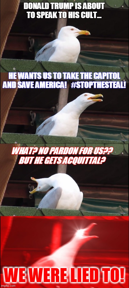 Trump's Call To Arms | DONALD TRUMP IS ABOUT TO SPEAK TO HIS CULT... HE WANTS US TO TAKE THE CAPITOL AND SAVE AMERICA!   #STOPTHESTEAL! WHAT? NO PARDON FOR US??
BUT HE GETS ACQUITTAL? WE WERE LIED TO! | image tagged in memes,inhaling seagull,trump,insurrection,treason | made w/ Imgflip meme maker