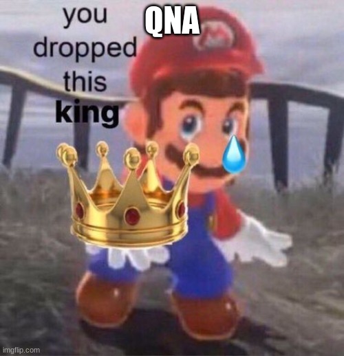 Mario you dropped this king | QNA | image tagged in mario you dropped this king | made w/ Imgflip meme maker