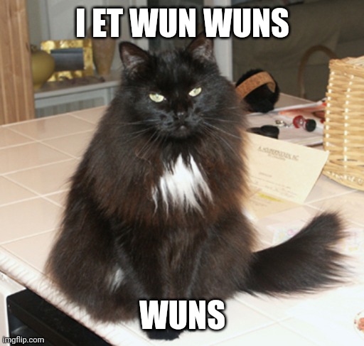 fat black cat | I ET WUN WUNS WUNS | image tagged in fat black cat | made w/ Imgflip meme maker