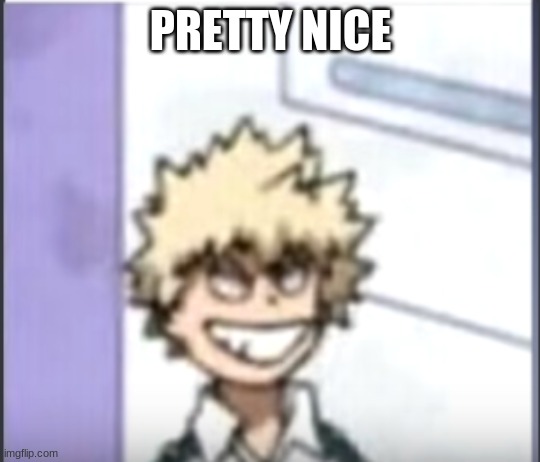 Bakugo sero smile | PRETTY NICE | image tagged in bakugo sero smile | made w/ Imgflip meme maker