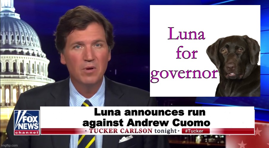 #LunaForGovernor | Luna for governor; Luna announces run against Andrew Cuomo | image tagged in governor,princess luna,dog | made w/ Imgflip meme maker