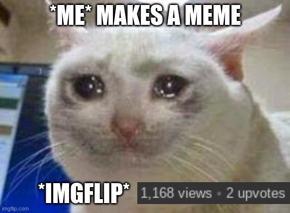 Every time | *ME* MAKES A MEME; *IMGFLIP* | image tagged in sad cat,imgflip,cat,cats,relatable | made w/ Imgflip meme maker