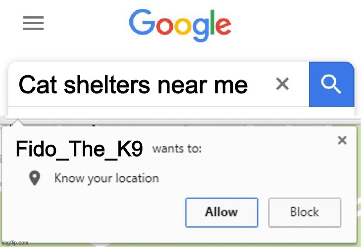 Wants to know your location | Cat shelters near me; Fido_The_K9 | image tagged in wants to know your location,dog | made w/ Imgflip meme maker