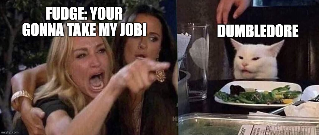 woman yelling at cat | FUDGE: YOUR GONNA TAKE MY JOB! DUMBLEDORE | image tagged in woman yelling at cat | made w/ Imgflip meme maker