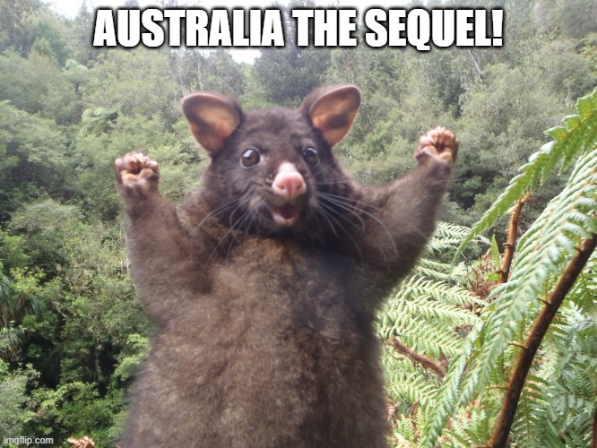 Australian possum | AUSTRALIA THE SEQUEL! | image tagged in australian possum | made w/ Imgflip meme maker