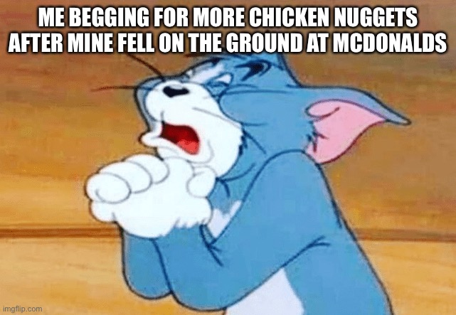 PLEASEEEEEEEE! :( |  ME BEGGING FOR MORE CHICKEN NUGGETS AFTER MINE FELL ON THE GROUND AT MCDONALDS | image tagged in memes,funny | made w/ Imgflip meme maker