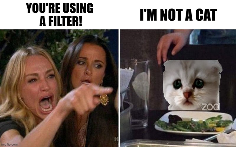 He's Not a Cat.. | I'M NOT A CAT; YOU'RE USING
 A FILTER! | image tagged in woman yelling at not a cat | made w/ Imgflip meme maker