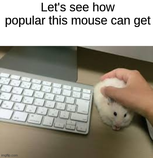 computer mouse | Let's see how popular this mouse can get | image tagged in blank white template,mouse | made w/ Imgflip meme maker