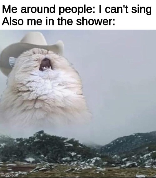 Country Roads Cat | Me around people: I can't sing
Also me in the shower: | image tagged in country roads cat | made w/ Imgflip meme maker