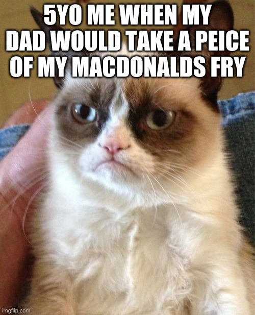 Grumpy Cat Meme | 5YO ME WHEN MY DAD WOULD TAKE A PEICE OF MY MACDONALDS FRY | image tagged in memes,grumpy cat | made w/ Imgflip meme maker