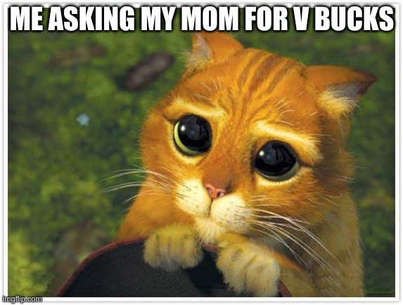 Shrek Cat Meme | ME ASKING MY MOM FOR V BUCKS | image tagged in memes,shrek cat | made w/ Imgflip meme maker