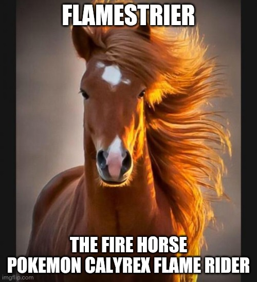 Horse | FLAMESTRIER; THE FIRE HORSE POKEMON CALYREX FLAME RIDER | image tagged in horse | made w/ Imgflip meme maker