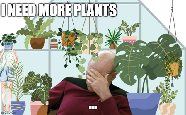 I NEED MORE PLANTS; ... | made w/ Imgflip meme maker