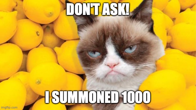 Grumpy Cat lemons | DON'T ASK! I SUMMONED 1000 | image tagged in grumpy cat lemons | made w/ Imgflip meme maker