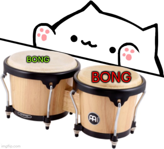 bongo cat | BONG; BONG | image tagged in bongo cat | made w/ Imgflip meme maker