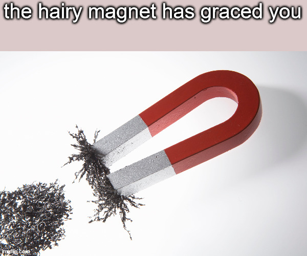 the hairy magnet has graced you | made w/ Imgflip meme maker