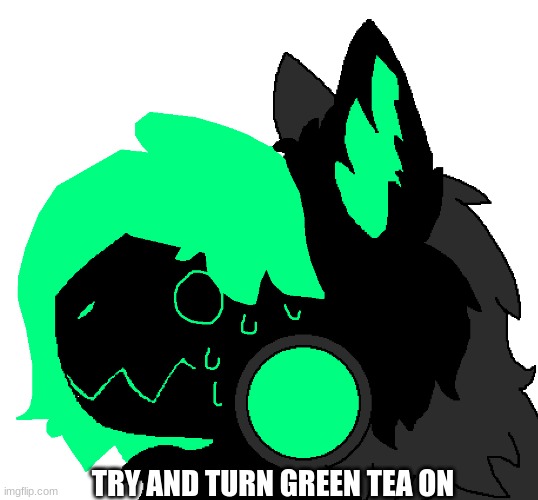 Green Tea shook | TRY AND TURN GREEN TEA ON | image tagged in green tea shook | made w/ Imgflip meme maker