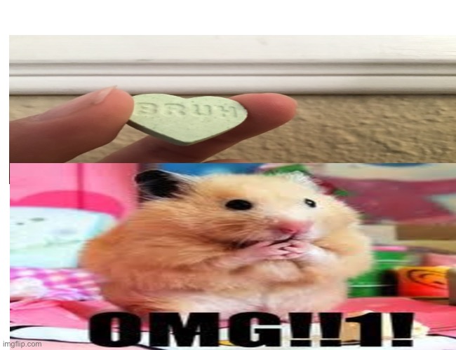 WHAT THE | image tagged in omg,what the hell,hamster,candy | made w/ Imgflip meme maker