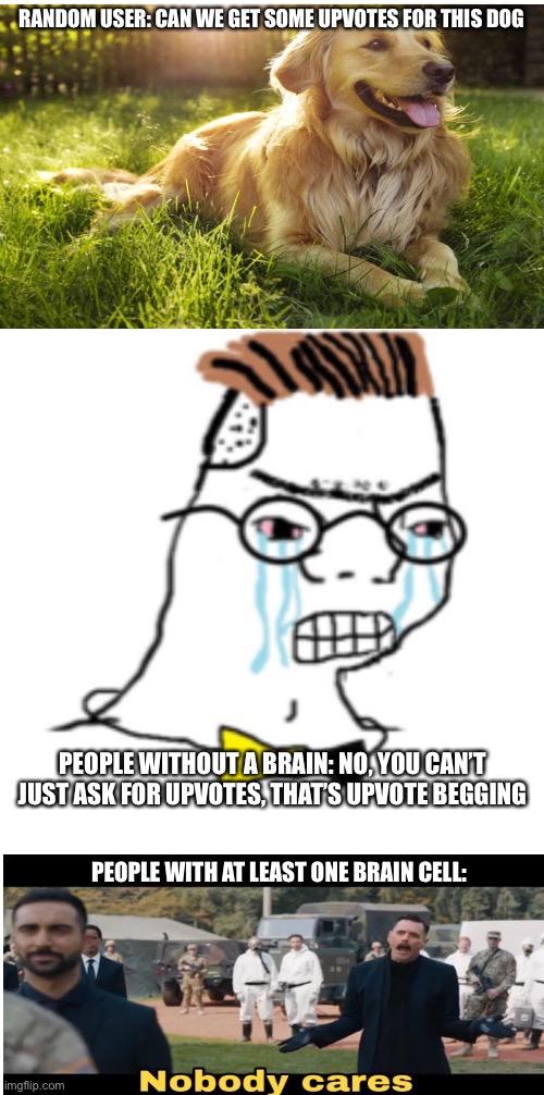 Sure it’s annoying, but IGNORE IT |  RANDOM USER: CAN WE GET SOME UPVOTES FOR THIS DOG; PEOPLE WITHOUT A BRAIN: NO, YOU CAN’T JUST ASK FOR UPVOTES, THAT’S UPVOTE BEGGING; PEOPLE WITH AT LEAST ONE BRAIN CELL: | image tagged in upvote begging | made w/ Imgflip meme maker
