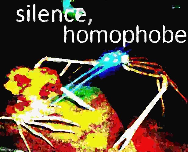 To commemorate our victory: NewTemplate time! | image tagged in silence homophobe deep-fried,homophobia,homophobic,homophobe,silence crab,silence | made w/ Imgflip meme maker