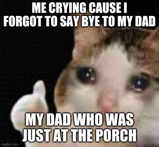 5 year old me true story | ME CRYING CAUSE I FORGOT TO SAY BYE TO MY DAD; MY DAD WHO WAS JUST AT THE PORCH | image tagged in approved crying cat | made w/ Imgflip meme maker