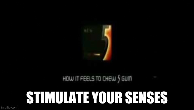 How it feels to chew take 5 gum | STIMULATE YOUR SENSES | image tagged in how it feels to chew take 5 gum | made w/ Imgflip meme maker