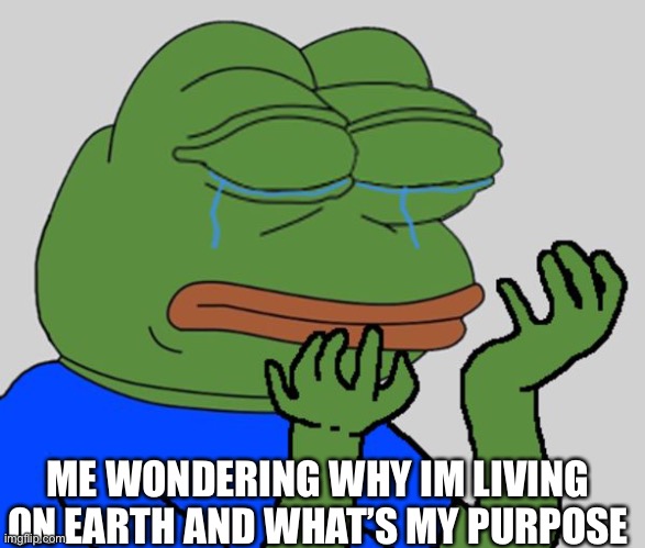 ME WONDERING WHY IM LIVING ON EARTH AND WHAT’S MY PURPOSE | made w/ Imgflip meme maker