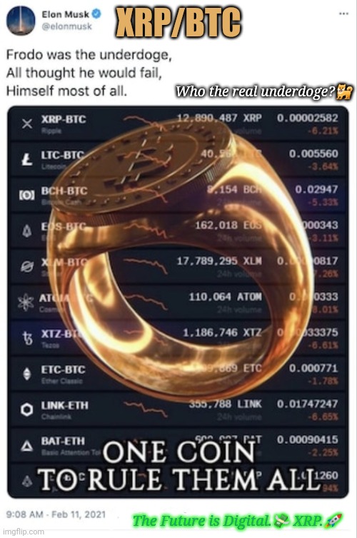 Which crypto is WEF green Chosen One?  Clue: IT'S NOT FUELHOG BITCOIN. DECODE: IT'$ All FLIP! #BuyXRP #underdoge #XRPrice 93gem | XRP/BTC; Who the real underdoge?🐕; The Future is Digital.💸 XRP.🚀 | image tagged in one coin to rule them all,xrp,golden gate bridge,cryptocurrency,underdog,elon musk | made w/ Imgflip meme maker