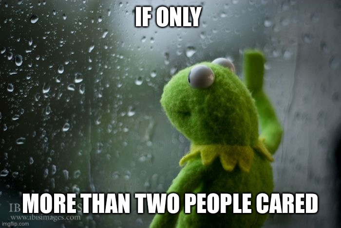 kermit window | IF ONLY MORE THAN TWO PEOPLE CARED | image tagged in kermit window | made w/ Imgflip meme maker