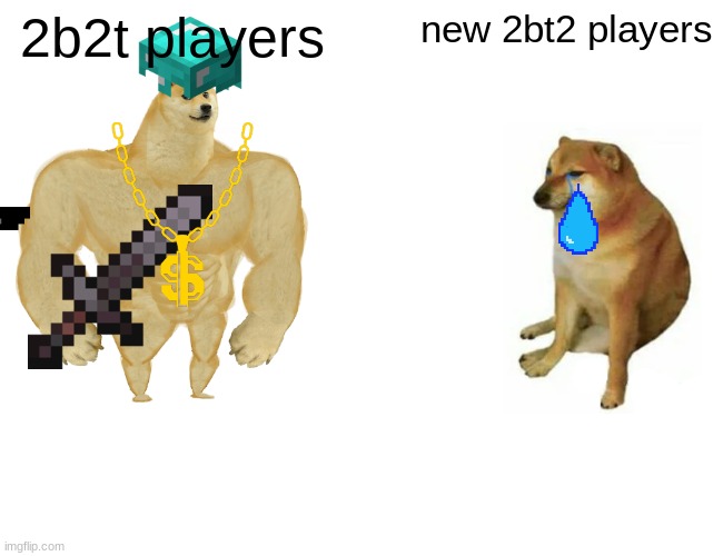 Buff Doge vs. Cheems | 2b2t players; new 2bt2 players | image tagged in memes,buff doge vs cheems | made w/ Imgflip meme maker