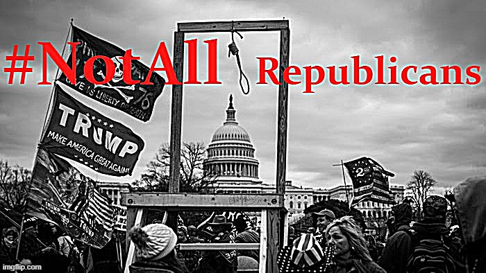 #NotAllRepublicans were involved, or support it. But to those who are, go on the wall. | image tagged in notallrepublicans,trump impeachment,impeach trump,capitol hill,riot,republicans | made w/ Imgflip meme maker
