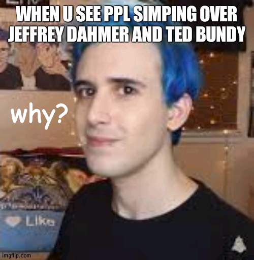 why? | WHEN U SEE PPL SIMPING OVER JEFFREY DAHMER AND TED BUNDY | image tagged in why | made w/ Imgflip meme maker