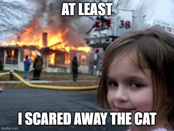 How to scare a cat | AT LEAST; I SCARED AWAY THE CAT | image tagged in memes,disaster girl | made w/ Imgflip meme maker