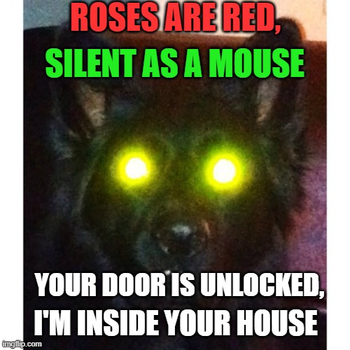 go to dis website https://i.imgflip.com/4aj1h7.jpg | ROSES ARE RED, SILENT AS A MOUSE; YOUR DOOR IS UNLOCKED, I'M INSIDE YOUR HOUSE | image tagged in doge,dogs | made w/ Imgflip meme maker