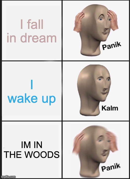 PANIK | I fall in dream; I wake up; IM IN THE WOODS | image tagged in memes,panik kalm panik | made w/ Imgflip meme maker