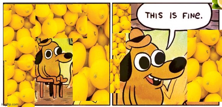 This Is Fine Meme | image tagged in memes,this is fine | made w/ Imgflip meme maker