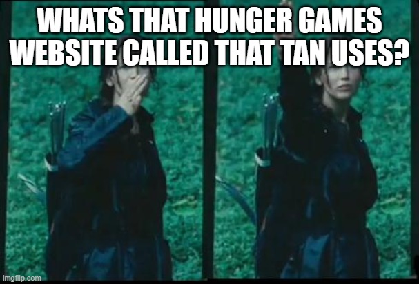 Katniss Respect | WHATS THAT HUNGER GAMES WEBSITE CALLED THAT TAN USES? | image tagged in katniss respect | made w/ Imgflip meme maker