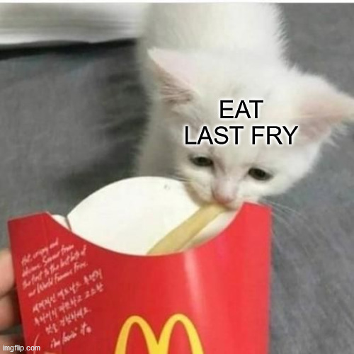 Sad cat taking fry | EAT LAST FRY | image tagged in sad cat taking fry | made w/ Imgflip meme maker