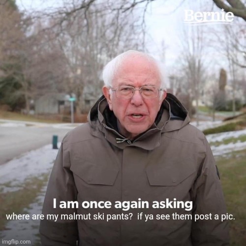 Bernie I Am Once Again Asking For Your Support | where are my malmut ski pants?  if ya see them post a pic. | image tagged in memes,bernie i am once again asking for your support | made w/ Imgflip meme maker
